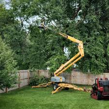 Best Commercial Tree Services  in Beverly Hills, CA
